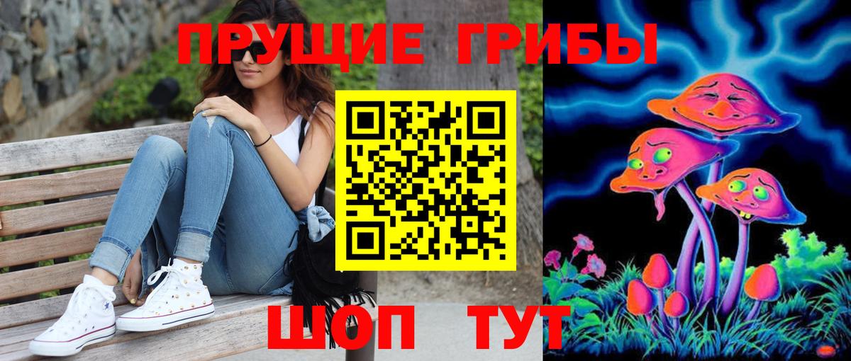 Псилоцибиновые грибы мицелий Коммунар
