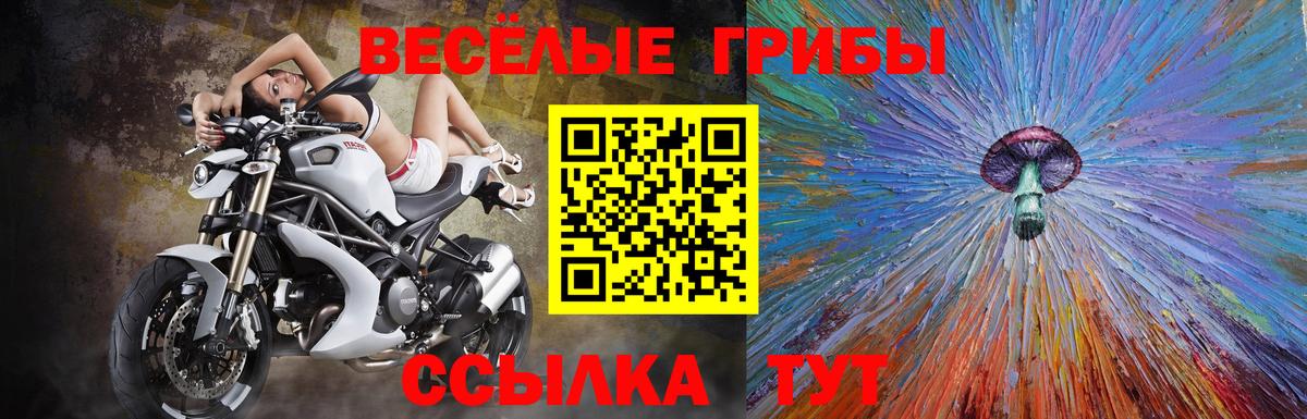 Коммунар  Псилоцибиновые грибы Psilocybe  Вход с VPN 